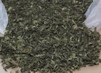 सांगलीत रासायनिक खतांच्या बोगस कारखान्यावर छापा