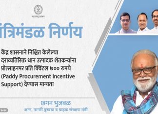 धान उत्पादक शेतकऱ्यांना प्रति क्विंटल सातशे रुपये देण्यास मंत्रिमंडळची मंजूरी