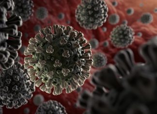 पुणे विभागातील 5 लाख 13 हजार 421 कोरोना बाधित रुग्ण बरे होऊन घरी, विभागात कोरोना बाधित 5 लाख 42 हजार 723 रुग्ण-विभागीय आयुक्त सौरभ राव