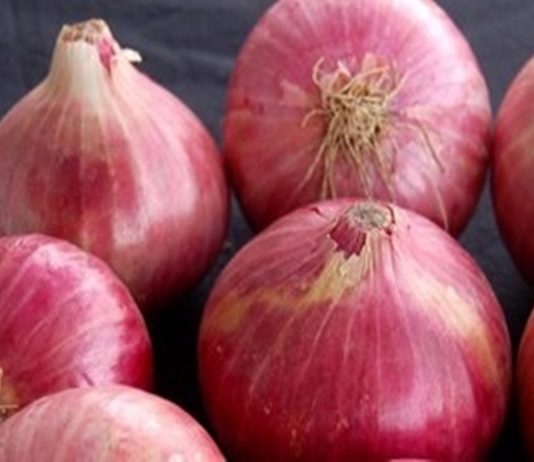 नाशिक जिल्ह्यातल्या बाजार समित्यांमध्ये आजही कांद्याच्या भावात घसरण