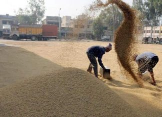 भातपीकाची किमान आधारभूत किमतीने केंद्र सरकारकडून खरेदी