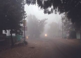 राज्यात सर्वत्र दाट धुकं