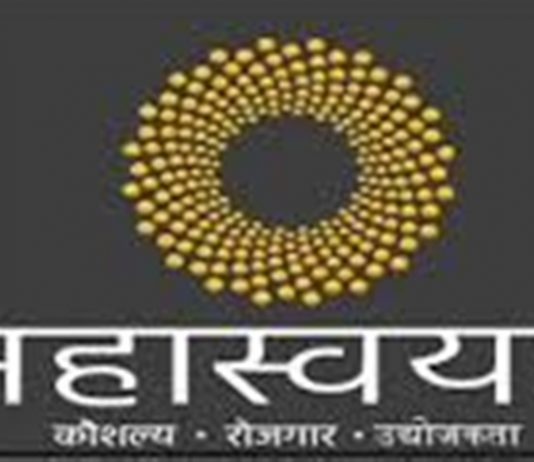 ऑनलाईन महारोजगार कार्यक्रमाला येत्या २० डिसेंबरपर्यंत मुदतवाढ