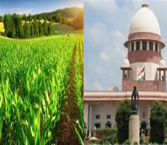 खरीप हंगामात ४५ लाख ९२ हजार शेतकऱ्यांकडून धान्य खरेदी