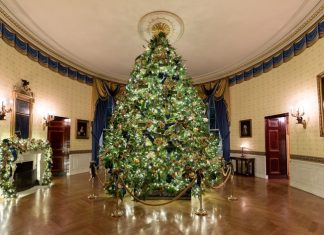 राष्ट्रपती, उपराष्ट्रपती आणि मुख्यमंत्र्यांच्या देशवासियांना नाताळच्या शुभेच्छा