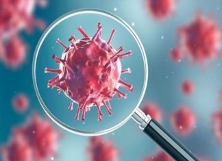 इंग्लंडमधून आलेल्या प्रवाशांच्या सर्वेक्षणात १ हजार १२२ प्रवाशांपैकी १६ प्रवासी कोरोनाबाधित