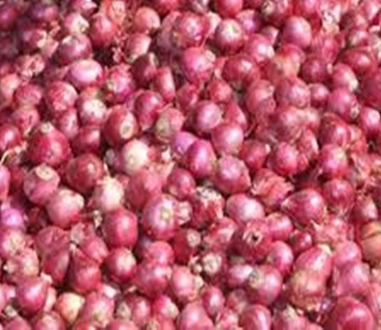 कांद्यावरची निर्यात बंदी १ जानेवारीपासून मागे