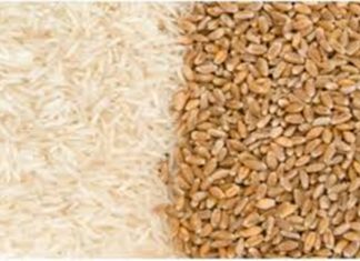 पंजाबमधल्या आंदोलनामुळे महाराष्ट्रात तांदुळ आणि गव्हाची आवक घटली