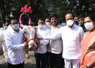 उपमुख्यमंत्री अजित पवार यांच्या उपस्थितीत बैलजोडी लोकार्पण