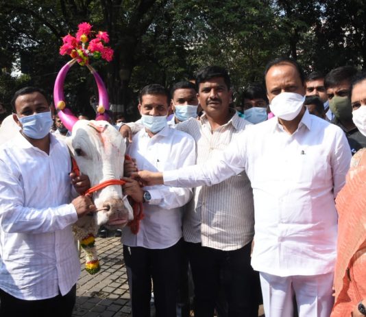 उपमुख्यमंत्री अजित पवार यांच्या उपस्थितीत बैलजोडी लोकार्पण