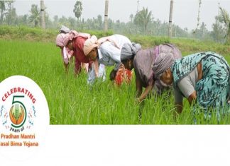 प्रधानमंत्री पीक विमा योजनेची पाच वर्षे पूर्ण
