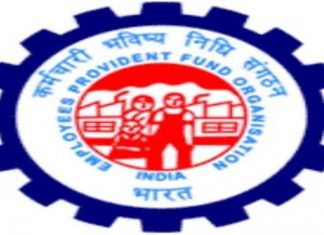 देशात रोजगाराचे प्रमाण वाढत असल्याचा भविष्य निर्वाह निधी संघटनेचा निष्कर्ष