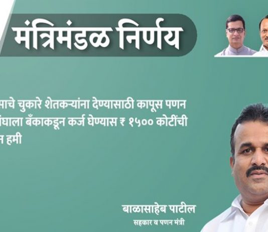 कापूस उत्पादक पणन महासंघाला १५०० कोटी रुपये कर्ज हमीला राज्यशासनाची मंजूरी