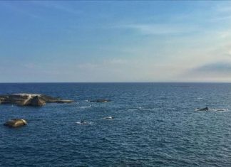 चीनने किनारपट्टीच्या कायद्यात केला बदल