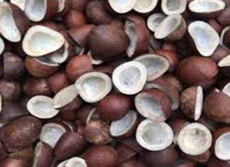 खोबऱ्याच्या किमान आधारभूत दरात ५२ ते ५५ टक्के वाढ करायचा केंद्र सरकारचा निर्णय