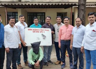 पिस्टल व जिवंत काडतुसे बेकायदेशीरपणे बाळगणाऱ्या आरोपींस अटक