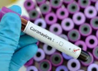 राज्यात ३६ हजार ९०२ नव्या कोविड रुग्णांची नोंद