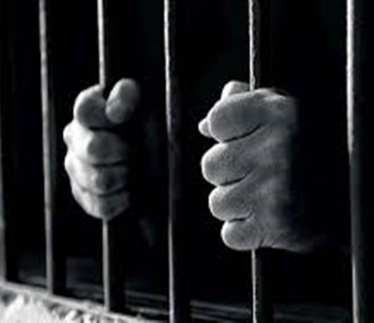 महाराष्ट्रातील मनसुख हिरेन हत्याप्रकरणी प्राथमिक चौकशी अहवाल दाखल