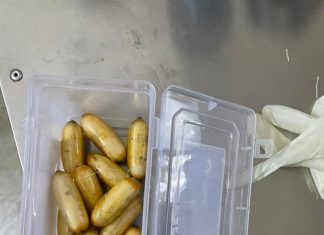 महसूल गुप्तचर संचालनालयाने टांझानियाच्या दोन नागरिकांना अटक केले