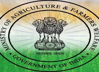 शेतकऱ्यांचं उत्पादन वाढावं यासाठी केंद्रीय कृषी मंत्रालयाचा मायक्रोसॉफ्ट कंपनीबरोबर करार