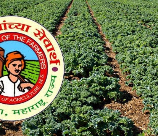 कोरोना निर्बंध काळात बियाणे, खते, निविष्ठा पुरवठ्याच्या तक्रारींसाठी राज्यस्तरावर नियंत्रण कक्ष कार्यान्वित