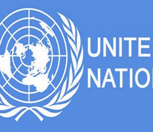 पुढच्या वर्षी भारताची अर्थव्यवस्था जगात सर्वात वेगाने विकसित होणाऱ्या अर्थव्यवस्थांपैकी एक असेल- संयुक्त राष्ट्र