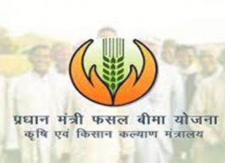 पीक विम्याची रक्कम अनेक शेतकऱ्यांच्या खात्यात जमा