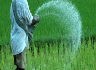 शेतकऱ्यांना जुन्याच किंमतीत खतं मिळणार