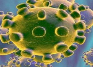 म्युकरमायकोसिसचे ५ हजार ४२४ रुग्ण नोंदवले गेले असल्याची केंद्रीय आरोग्यमंत्र्यांची माहिती