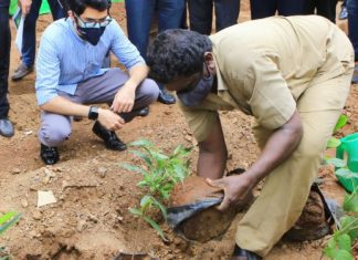 पर्यावरण दिनानिमित्त वरळीत मंत्री आदित्य ठाकरे यांच्या हस्ते वृक्षारोपण