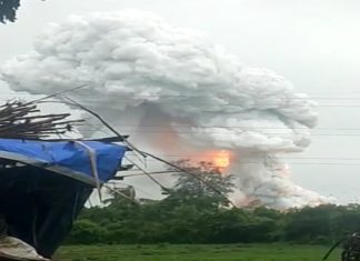 पालघर जिल्ह्यातल्या फटाक्याच्या कंपनीला आग