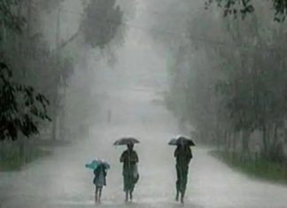 राज्यभरात पावसाची पुन्हा हजेरी