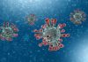 राज्यात डेल्टा प्लस विषाणूचे २१ रुग्ण