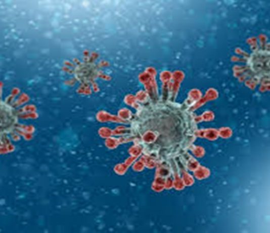 राज्यात डेल्टा प्लस विषाणूचे २१ रुग्ण