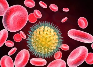 मुंबईतल्या ५० टक्क्यापेक्षा जास्त बालकांमध्ये कोविड १९ विरोधी प्रतिपिंड विकसित