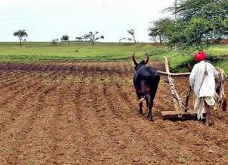 शेतकऱ्यांना जलद कृषी कर्ज वितरीत करण्याचे मुख्यमंत्र्यांचे बँकांना निर्देश