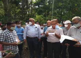 रायगड जिल्ह्यात तौक्ते चक्रीवादळामुळे झालेल्या नुकसानीची केंद्रीय पथकाकडून पाहणी