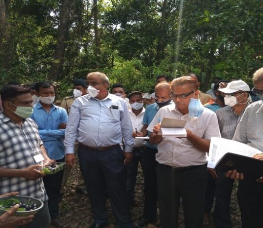 रायगड जिल्ह्यात तौक्ते चक्रीवादळामुळे झालेल्या नुकसानीची केंद्रीय पथकाकडून पाहणी