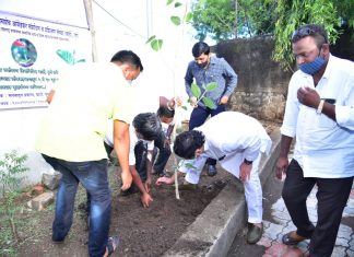संपूर्ण महाराष्ट्रात बार्टीच्या वतीने वृक्षारोपण पंधरवाड्याचे आयोजन