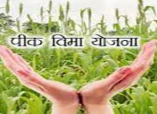 प्रधानमंत्री पीक वीमा योजनेत राज्यातल्या शेतकऱ्यांना सहभागी होता यावं या साठी अर्ज करण्याची मुदत २३ जुलै पर्यंत वाढवण्याची राज्य सरकारची केंद्राला विनंती