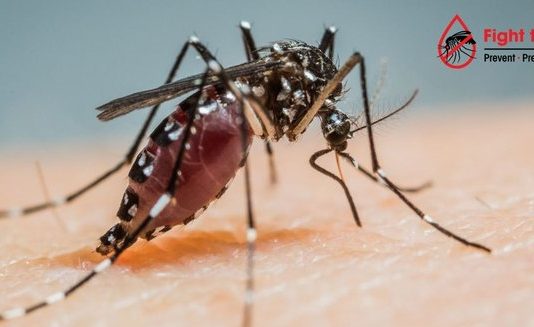 मुंबईत डेंग्यू, मलेरियासारखे आजार रोखण्यासाठी ‘फाइट द बाईट’ मोहिम सूरू