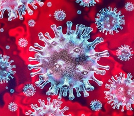 संतश्री ज्ञानेश्वर माऊलींच्या प्रस्थान सोहोळ्यासाठी आळंदीत दाखल झालेल्या निमंत्रित २२ वारकऱ्यांना कोरोनाची लागण