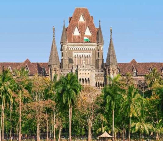 मुंबई उपनगरीय रेल्वेतून प्रवास करण्यसाठी वकीलांना जुलैअखेरीपर्यंत परवानगी नाही