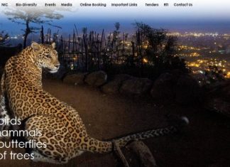 वन्य प्राण्यांना दत्तक घ्या; वन्य जीव संवर्धनास मदत करा – संजय गांधी राष्ट्रीय उद्यानाची योजना