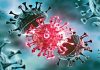 राज्यात कोरोना विषाणूच्या डेल्टा प्लस प्रकाराचा संसर्ग झालेले आणखी २७ रुग्ण