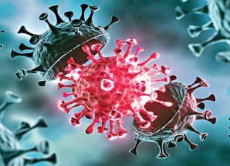 राज्यात कोरोना विषाणूच्या डेल्टा प्लस प्रकाराचा संसर्ग झालेले आणखी २७ रुग्ण