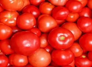 शेतकरी हितासाठी केंद्र सरकारकडून राज्य सरकारला टोमॅटो खरेदीची सूचना