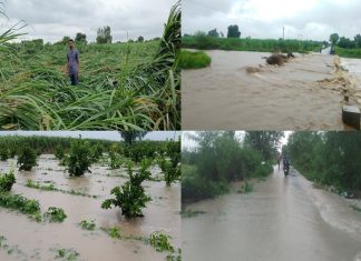 राज्यात आज अनेक ठिकाणी मुसळधार पाऊस