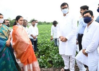 ई-पीक पाहणी हा महाराष्ट्रासाठी व्यापक प्रकल्प – महसूलमंत्री बाळासाहेब थोरात