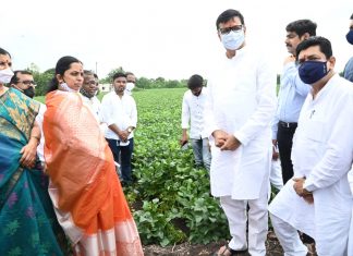 ई-पीक पाहणी या प्रकल्पामुळे शेतकरी अधिक सक्षम होण्यास मदत होणार – बाळासाहेब थोरात